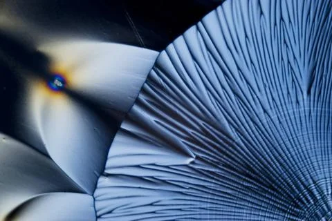 Microcrystals microphoto: microcrystals of ascorbic acid in polarized ligh... Stock Photos