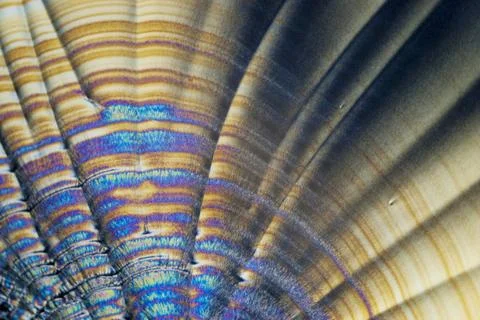 Microcrystals microphoto: microcrystals of ascorbic acid in polarized ligh... Stock Photos