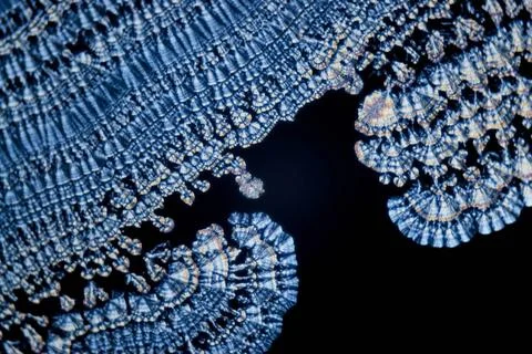 Microcrystals microphoto: microcrystals of ascorbic acid in polarized ligh... Stock Photos