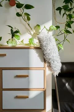 Microfiber Feather Duster with Extendable Pole near chest. Stock Photos