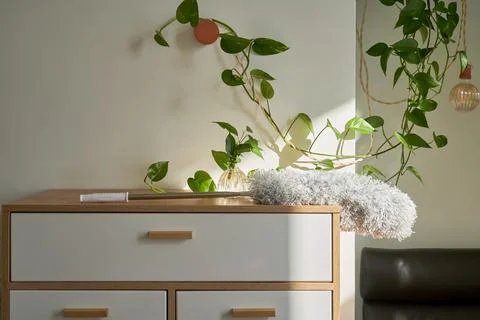 Microfiber Feather Duster with Extendable Pole on the chest. Stock Photos