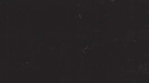 Microfiche Scan Transition 8 Stock Footage 322183064