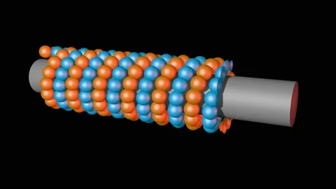 Microfilaments , microtube . 3d animation render Stock Footage 171495597