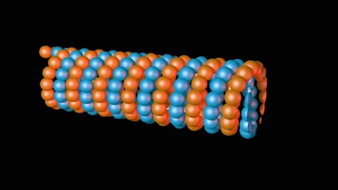 Microfilaments , microtube . 3d animation render Stock Footage 171495598