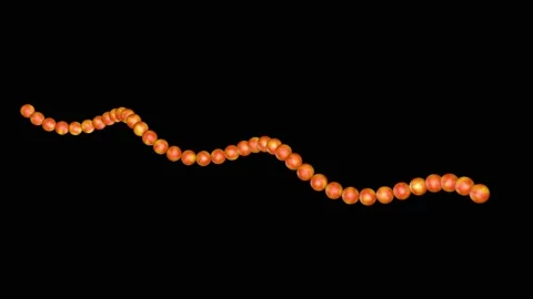 Microfilaments , microtube . 3d animation render loop Stock Footage 171495606