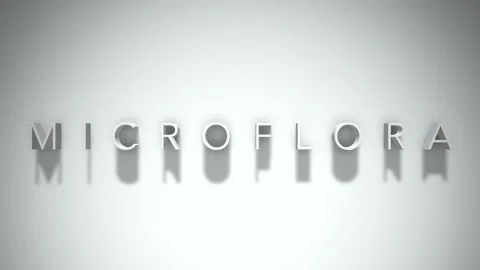 Microflora 3D title animation with shadows on a white background Video stock 296514438
