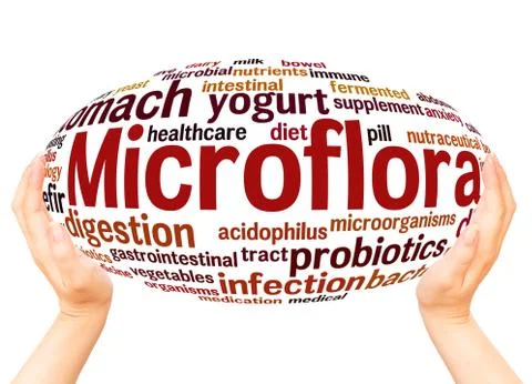 Microflora hand sphere word cloud concept Stock Photos