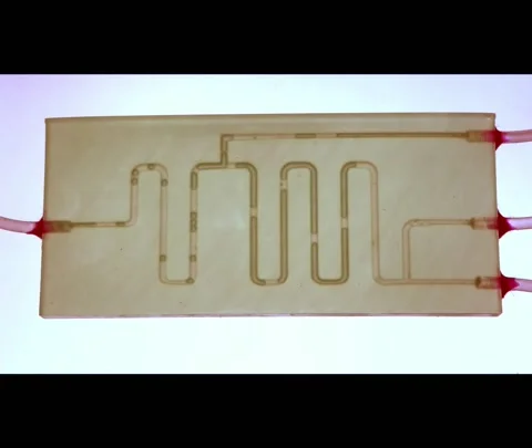 Microfluidic device for microbiological and medical research Stock Footage 147049890