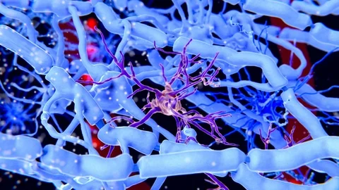 Microglia cells, scavenging Stock Footage 113245664