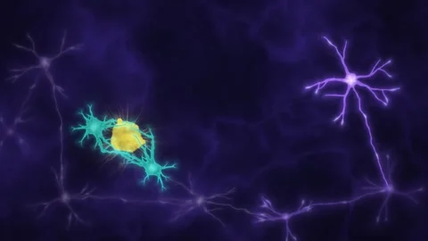 Microglia Clearing Amyloid Plaque Alzheimer Brain Tissue Animation Stock Footage 346728367
