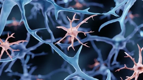 Microglia Stock Footage 207742134