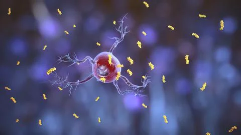 Microglial Dynamics During Human Brain Development Illustrazione stock