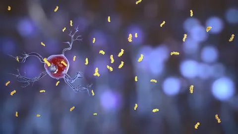 Microglial Dynamics During Human Brain Development Illustrazione stock