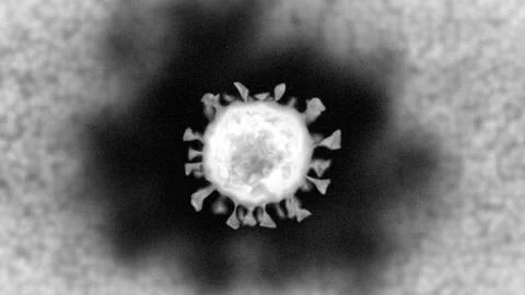 Micrograph of a single coronavirus particle under electron microscope Stock Illustration