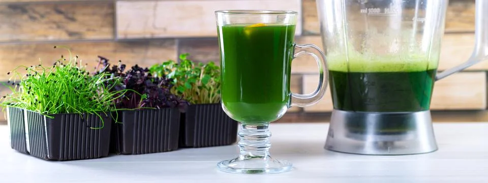 Microgreen juice on the kitchen table. Micro greens in a blender. Make a micr Stock Photos