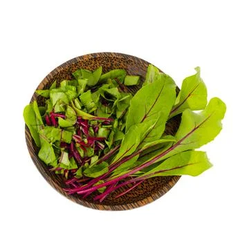 Microgreen. Red beetroot sprouts for cooking vegetarian dishes. Stock Photos