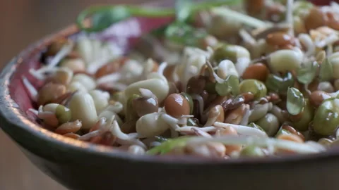 Microgreens and sprouted grains in dish with water stream, close-up view in Stock-Footage 148691871