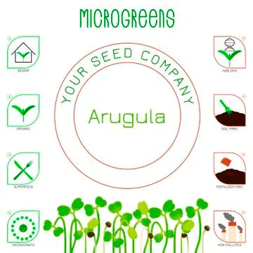Microgreens Arugula. Seed packaging design, text, icons 스톡 일러스트