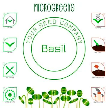 Microgreens Basil. Seed packaging design, text, icons Stock Illustration