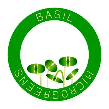 Microgreens Basil. Seed packaging design, round element in the center. Sprout Stock Illustration