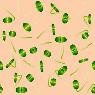 Microgreens Basil. Sprouting seeds of a plant. Seamless pattern. Vitamin supp Stock Illustration