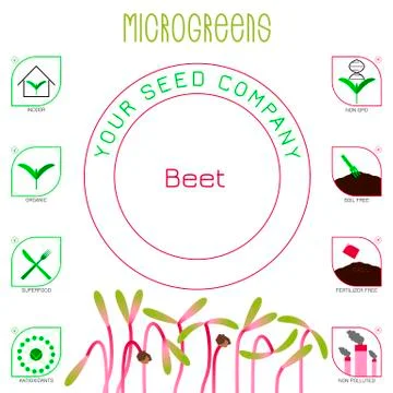 Microgreens Beet. Seed packaging design, text, icons Stock Illustration