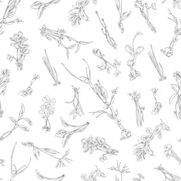 Microgreens botanical vector engraved seamless pattern, hand drawn natural salad Stock Illustration