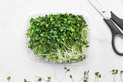 Microgreens bowl on white marble background. superfood concept Stock Photos