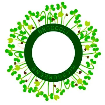 Microgreens Broccoli. Seed packaging design, round element in the center. Aro Stock Illustration
