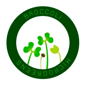 Microgreens Broccoli. Seed packaging design, round element in the center Stock Illustration