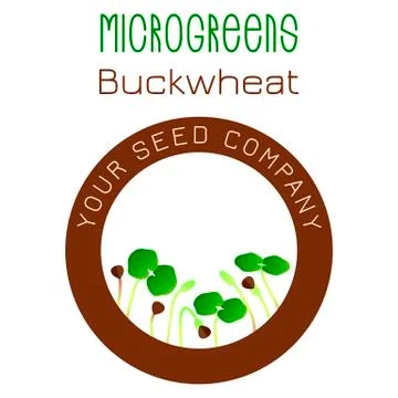 Microgreens Buckwheat. Seed packaging design, round element in the center 스톡 일러스트