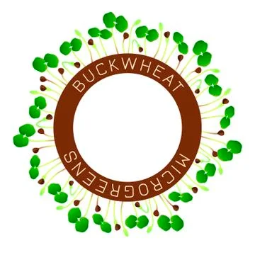 Microgreens Buckwheat. Seed packaging design, round element in the center. Ar Stock Illustration