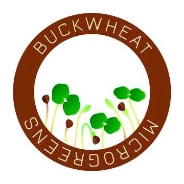 Microgreens Buckwheat. Seed packaging design, round element in the center Stock Illustration