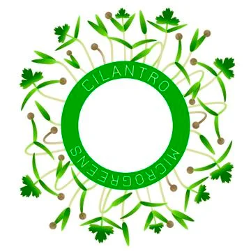 Microgreens Cilantro. Seed packaging design, round element in the center. Aro Stock Illustration