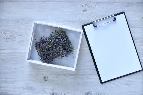 Microgreens growing background with microgreen sprouts on the table with a ta Stock-Fotos