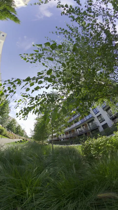 Microgreens growing in the backyard Stock Footage 282677478