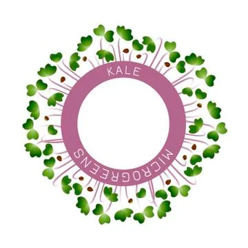 Microgreens Kale. Seed packaging design, round element in the center. Around  Stock Illustration