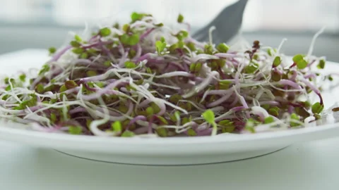 Microgreens mixed in a dish. Stock Footage 258587183