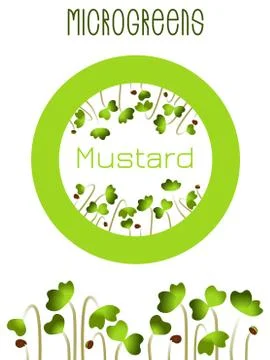 Microgreens Mustard. Seed packaging design, round element in the center. Spro Stock Illustration