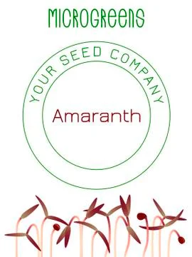 Microgreens Red Amaranth. Seed packaging design, text Stock Illustration