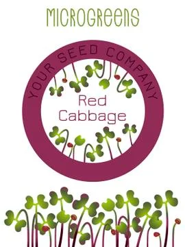 Microgreens Red Cabbage. Seed packaging design, round element in the center.  Illustrazione stock
