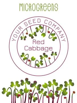 Microgreens Red Cabbage. Seed packaging design, text, vegan food Stock Illustration