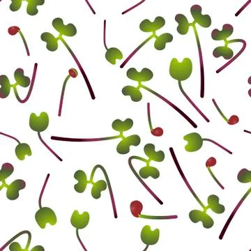 Microgreens Red Cabbage. Sprouting seeds of a plant. Seamless pattern. Vitami Stock Illustration