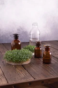 Microgreens in round container and small glass vials on wooden table. Sprouts Stock Photos