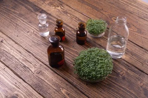 Microgreens in round container and small glass vials on wooden table. Sprouts Stock Photos