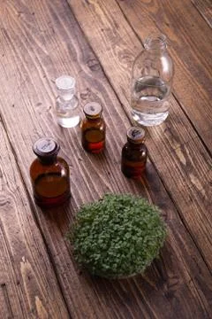 Microgreens in round container and small glass vials on wooden table. Sprouts 스톡 사진
