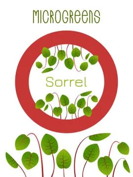 Microgreens Sorrel. Seed packaging design, round element in the center Stock Illustration