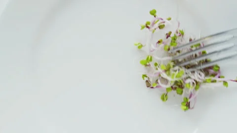 Microgreens on a white plate. Stock Footage 258578510