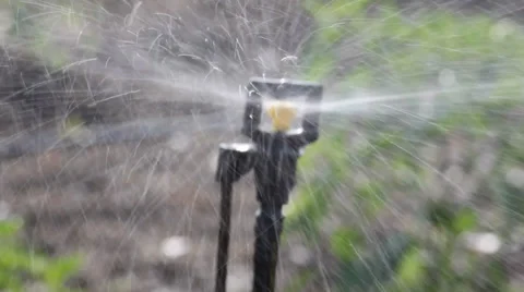 Microjet Sprinkler For Water Irrigation Stock Footage 33779055