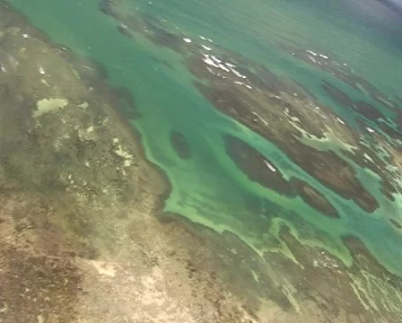 Microlight flight over an island (2) Vidéo 96522